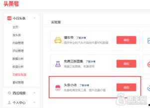 头条开通店铺在哪里,一键生成店铺，开启电商新篇章