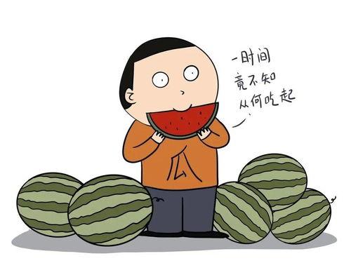 零语言能力者吃瓜,零语言能力者轻松吃瓜指南