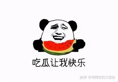 吃瓜发什么,揭秘娱乐圈背后的故事