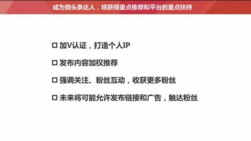 什么人可以发头条号,哪些人能成功注册并运营头条号？