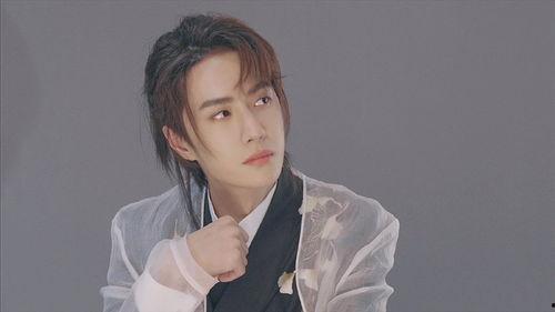 明星带来的正能量,明星正能量助力社会和谐发展