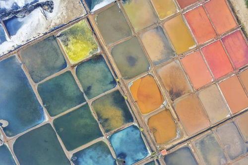 威海网红漆在哪里买到,揭秘购买攻略，轻松入手心仪色彩