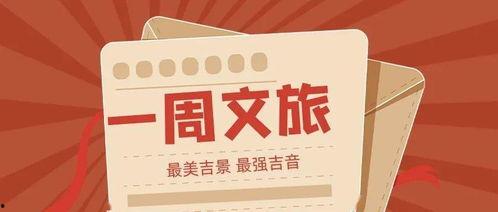 新闻头条孙道秋之旅,探寻文化足迹，感受历史变迁