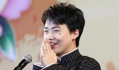 郭麒麟几线明星,从几线明星到璀璨星辰的蜕变之路