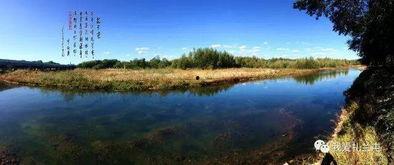 扎兰屯有明星,揭秘明星背后的故事与魅力