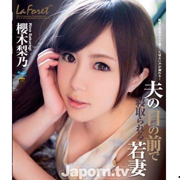 樱木梨乃在线观看,在线观看的青春物语