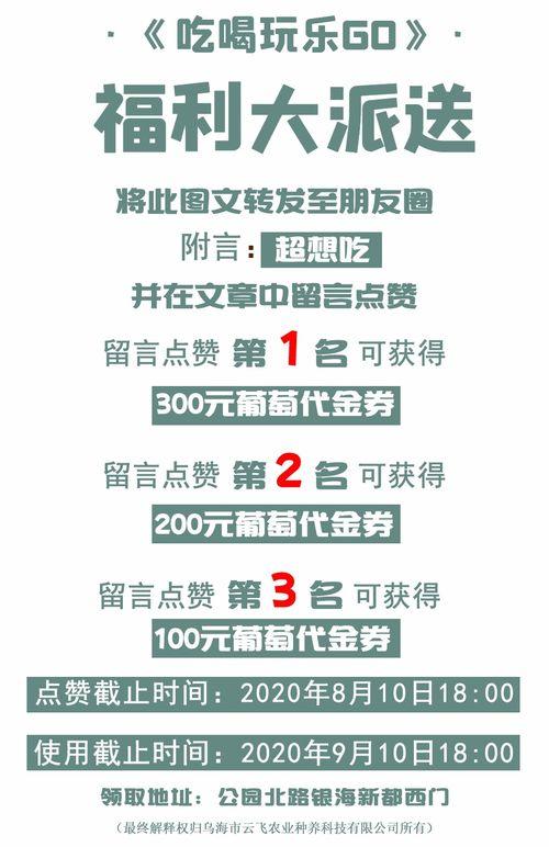网红励志事例素材,从平凡到闪耀的励志传奇